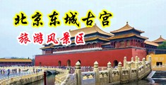 黄色性爱视频完全免费看中国北京-东城古宫旅游风景区